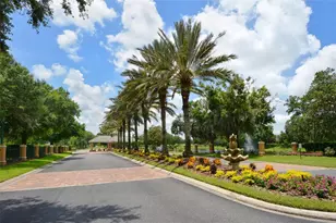 2909 Old Orchard Ln, Parrish, FL 34219 - Photo 67