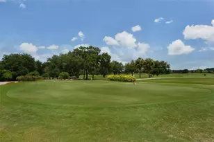 2909 Old Orchard Ln, Parrish, FL 34219 - Photo 77