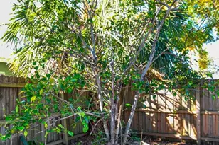 2412 Grove St, Sarasota, FL 34239 - Photo 39