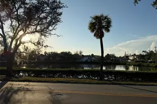 2604 S West Shore Blvd, Tampa, FL 33629 - Photo 7