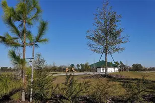 14725 Newtonmore Ln, Lakewood Ranch, FL 34202 - Photo 35