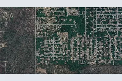 5306 E Hopp Lane, Inverness, FL 34452 - Photo 3