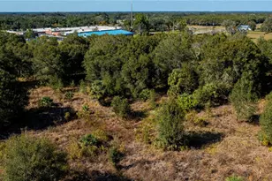 SW Co Rd 760A, Arcadia, FL 34266 - Photo 17