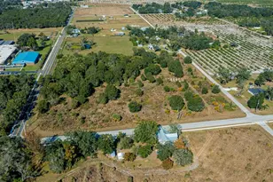 SW Co Rd 760A, Arcadia, FL 34266 - Photo 7