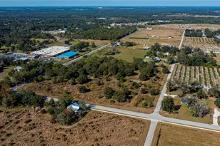 SW Co Rd 760A, Arcadia, FL 34266 - Photo 21