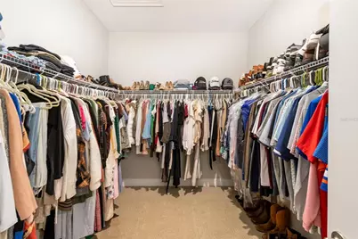 10804 Whitland Grove Drive, Riverview, FL 33578 - Photo 29