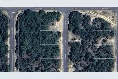 2892 W Lambert Drive, Dunnellon, FL 34433 - Photo 1