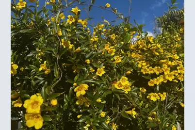 4542 35th Avenue Circle E, Palmetto, FL 34221 - Photo 33