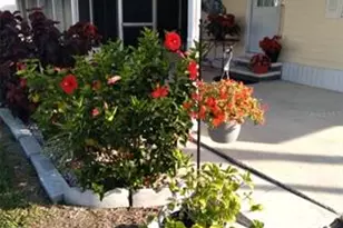 2037 Champion St, Sarasota, FL 34231 - Photo 1