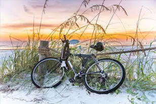 6451 Elmwood Ave, Sarasota, FL 34231 - Photo 95