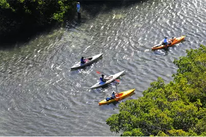 5260 Heron Way #202, Sarasota, FL 34231 - Photo 49