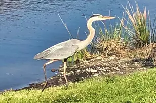 11120 McDermott Ct, Englewood, FL 34223 - Photo 47