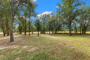 4940 Wauchula Rd, Myakka City, FL 34251 - Photo 65