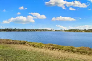 4940 Wauchula Rd, Myakka City, FL 34251 - Photo 59