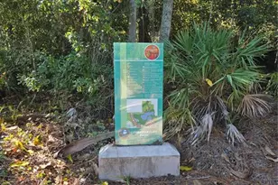 8010 Conservatory Dr, Sarasota, FL 34243 - Photo 43