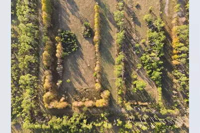 10989 NW Lily County Line Road, Ona, FL 33865 - Photo 9