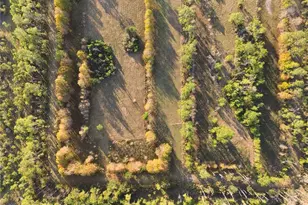 10989 NW Lily County Line Rd, Ona, FL 33865 - Photo 9