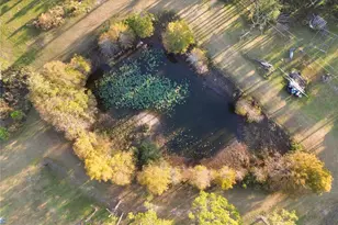 10989 NW Lily County Line Rd, Ona, FL 33865 - Photo 13