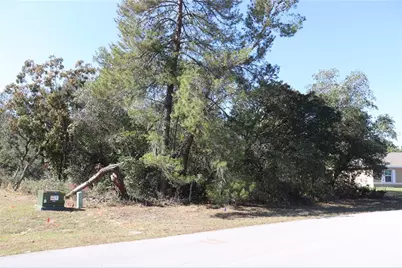 Tbd Marion Oaks Golf Road, Ocala, FL 34473 - Photo 7