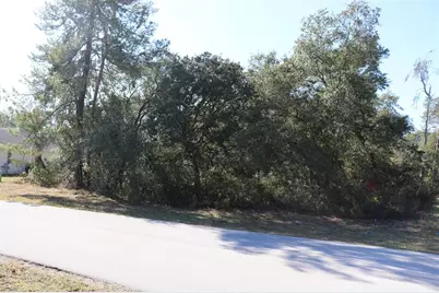 Tbd Marion Oaks Golf Road, Ocala, FL 34473 - Photo 3