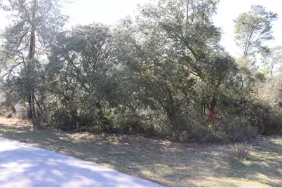 Tbd Marion Oaks Golf Road, Ocala, FL 34473 - Photo 1