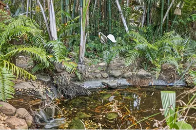 1019 10th Avenue W, Bradenton, FL 34205 - Photo 33