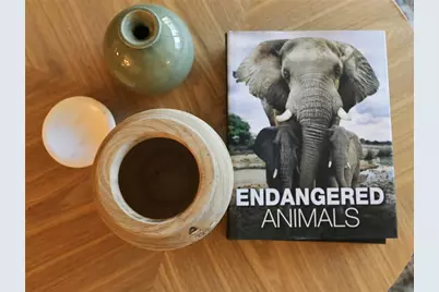 322 Timberlake Drive #322, Bradenton, FL 34210 - Photo 75