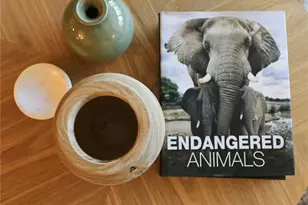 322 Timber Lake Dr, Bradenton, FL 34210 - Photo 75