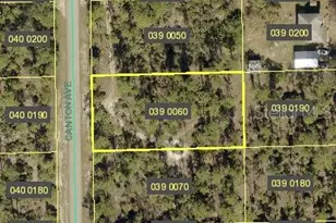 2312 Canton Ave, Alva, FL 33920 - Photo 1