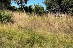 Saragossa Ln, North Port, FL 34287 - Photo 1