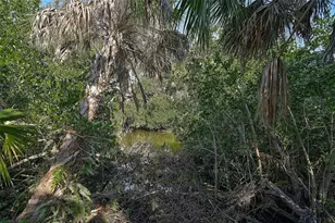 919 Tranquility Cir, Osprey, FL 34229 - Photo 47