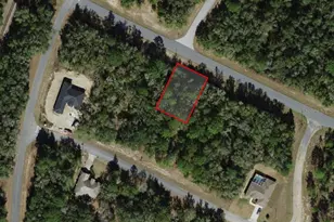 2138 W G Martinelli Blvd, Citrus Springs, FL 34434 - Photo 1