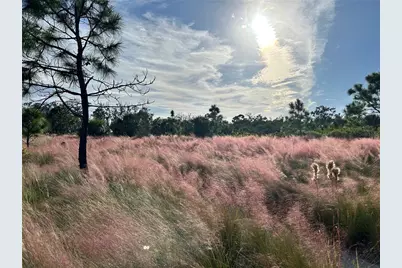 8611 51st Avenue W, Bradenton, FL 34210 - Photo 29