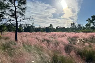 8611 51st Ave W, Bradenton, FL 34210 - Photo 29