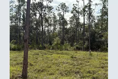 Sr-70 E, Myakka City, FL 34251 - Photo 3