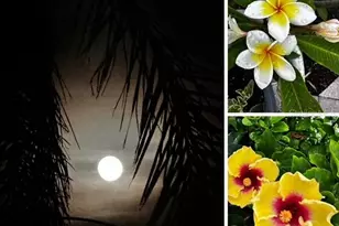 10315 Cortez Road W, Bradenton, FL 34210 - Photo 73