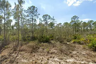 1140 Heron St, Lake Placid, FL 33852 - Photo 3