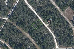 1140 Heron St, Lake Placid, FL 33852 - Photo 1