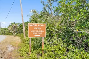 1015 Bayshore Dr, Terra Ceia, FL 34250 - Photo 67