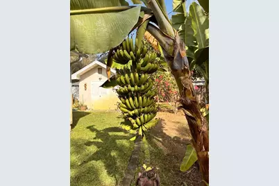 1512 Lime Street, Clearwater, FL 33756 - Photo 35