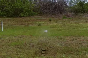 1321 SW 21st Ave, Cape Coral, FL 33991 - Photo 1