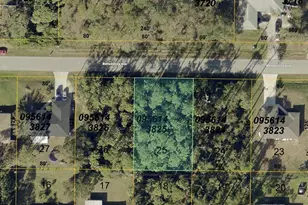 Belladonna Ave, North Port, FL 34286 - Photo 1