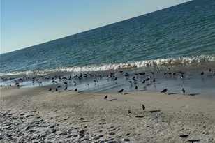 517 42nd St, Holmes Beach, FL 34217 - Photo 37