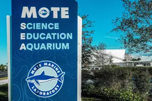 5510 Chanteclaire, Sarasota, FL 34235 - Photo 89