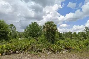 703 East 13th Street, Lehigh Acres, FL 33972 - Photo 1