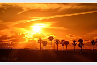 707 S Gulfstream Avenue #505, Sarasota, FL 34236 - Photo 73