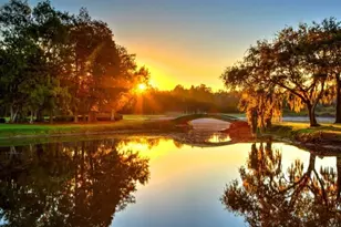 1936 Hillsong Ter, Palm Harbor, FL 34684 - Photo 13