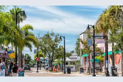 1932 Hillsong Terrace, Palm Harbor, FL 34684 - Photo 23