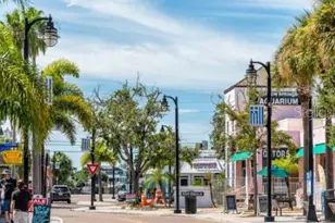 1932 Hillsong Ter, Palm Harbor, FL 34684 - Photo 23