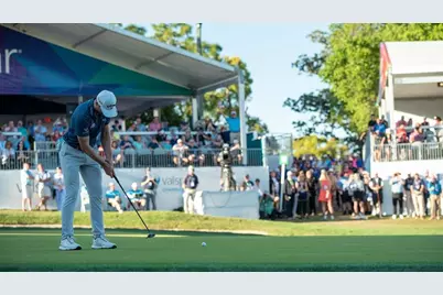 1618 Sandhill Court, Palm Harbor, FL 34684 - Photo 19